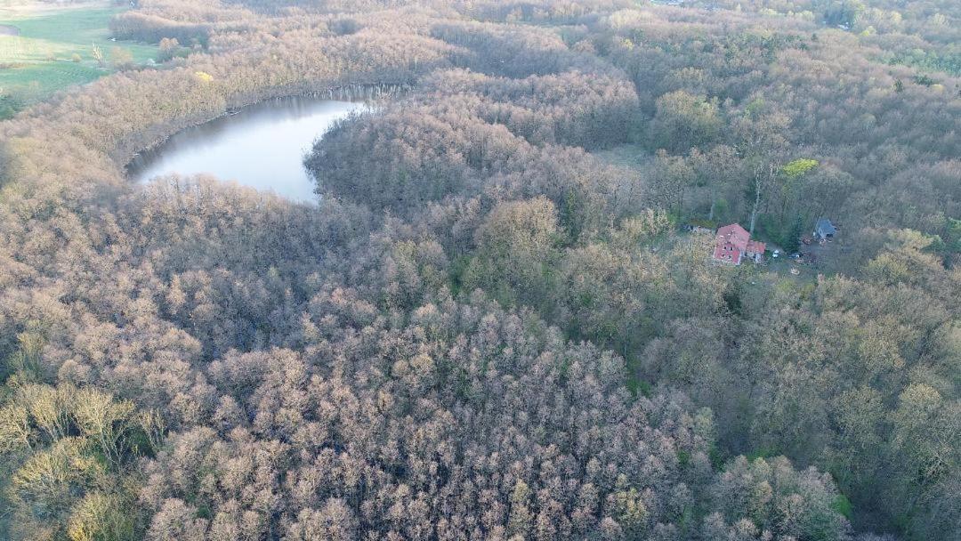 Apartament Altes Forsthaus Garzau Zewnętrze zdjęcie